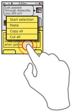 Option menus, such as this contextual menu on a touch device, offer options for dealing with text already. Adding a clear function may not be natural but a dual-purpose function with automatic recovery like this “Cut all” function can be a very convenient way to include it. The users is additionally lead to develop a mental model that includes this, from their more frequent use of typical editing functions.