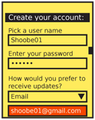 Creating credentials is very similar to entering them for Sign On. When the field is in focus, make it entirely visible. If it will be on the screen for a while, it can be obscured when out of focus.